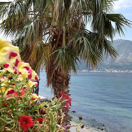 Ferienwohnung Maniva Penthouse By The Sea Kotor Exterior foto
